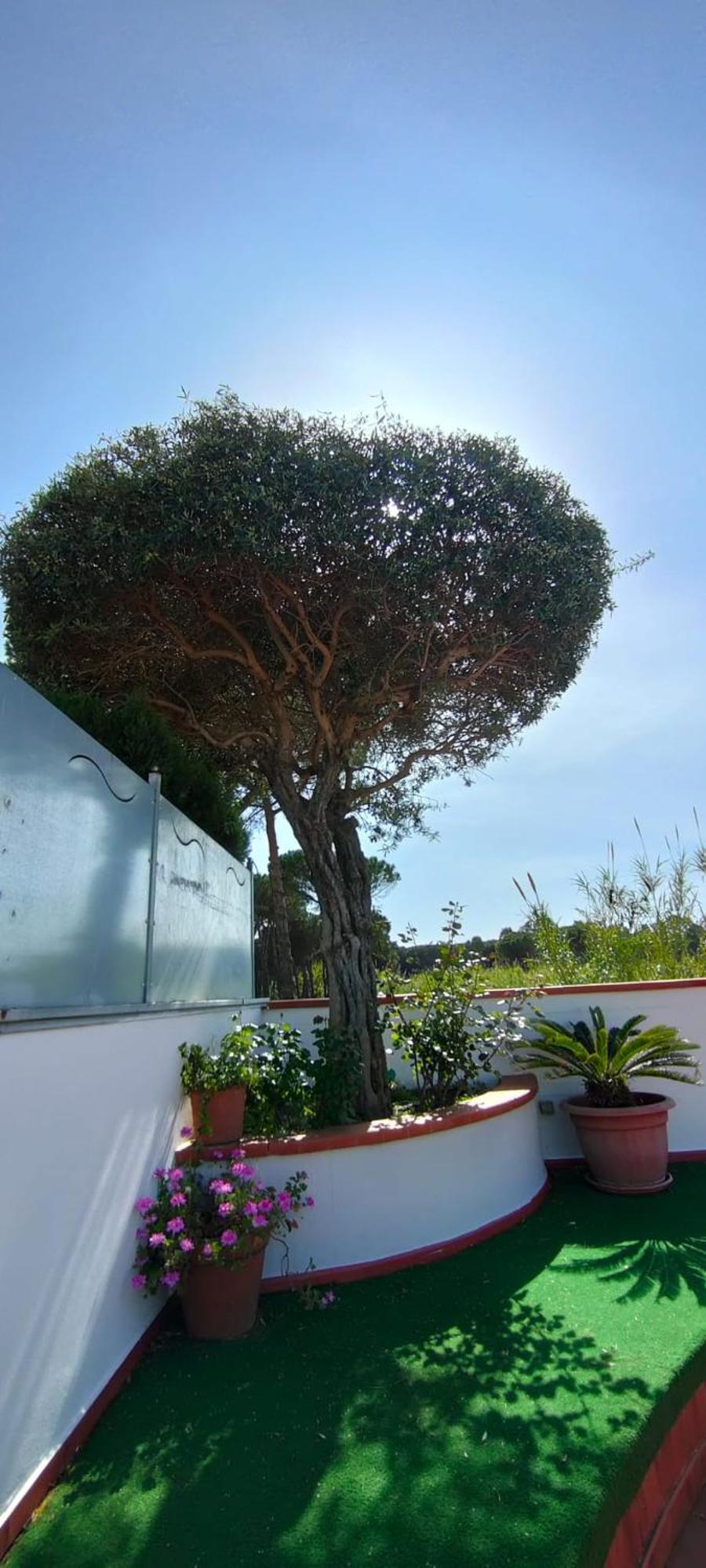 קאפאצ'יו-פאסטום Hotel B&B Marina מראה חיצוני תמונה