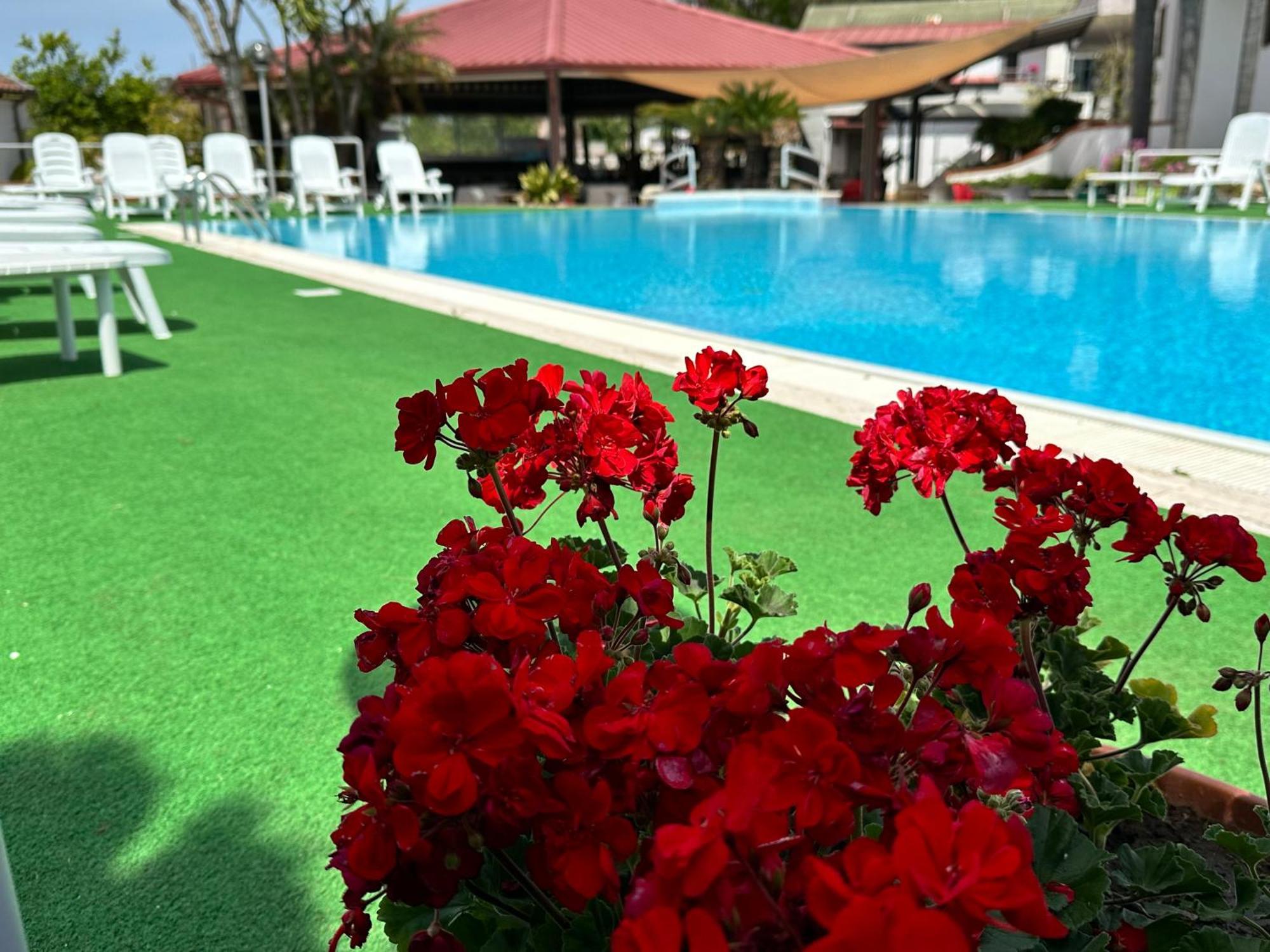 קאפאצ'יו-פאסטום Hotel B&B Marina מראה חיצוני תמונה