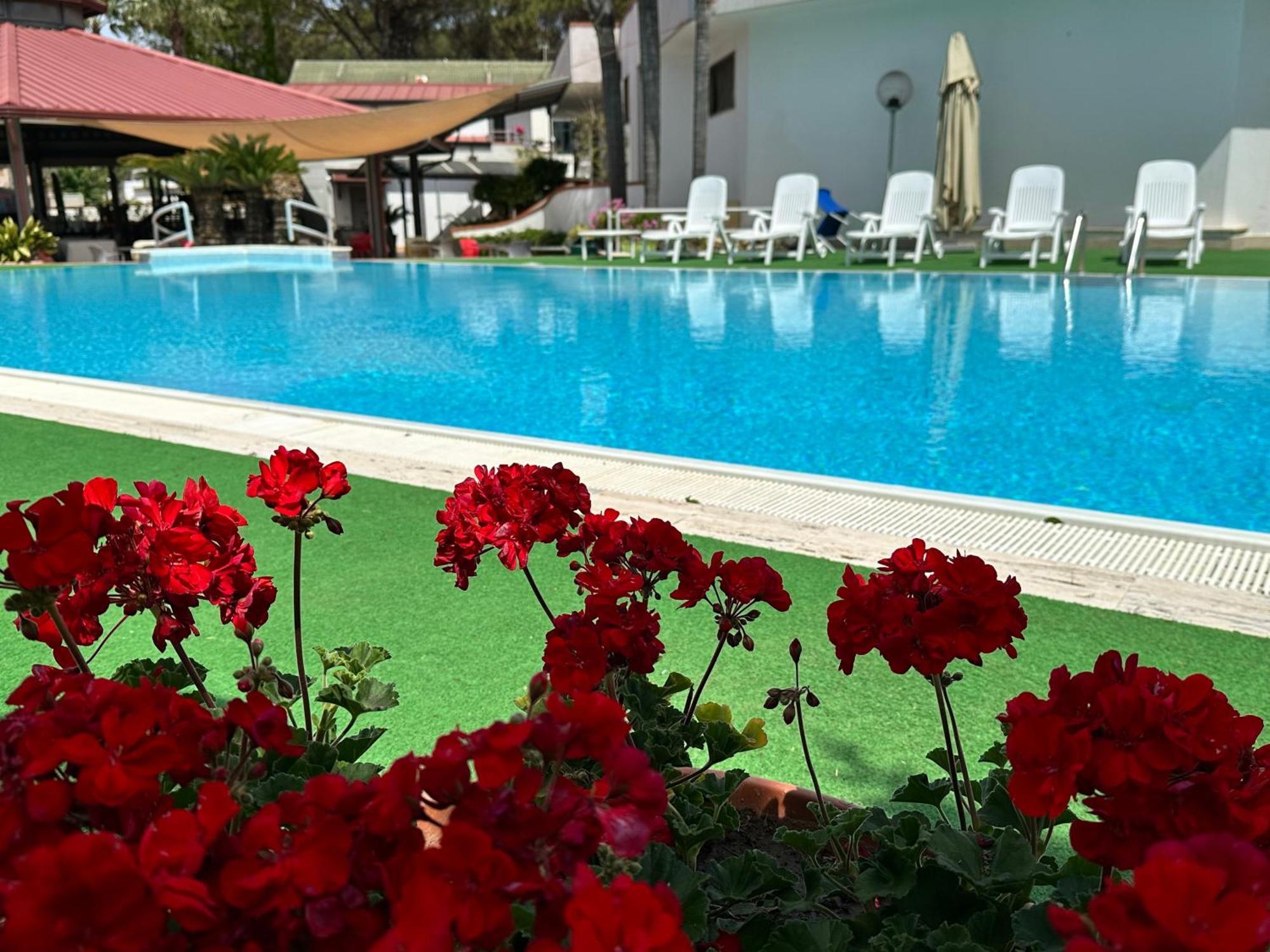 קאפאצ'יו-פאסטום Hotel B&B Marina מראה חיצוני תמונה